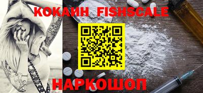 гидра Заводоуковск