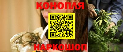 гидра Заводоуковск