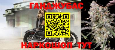 гидра Заводоуковск