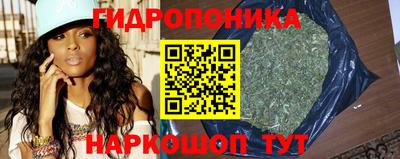гидра Заводоуковск